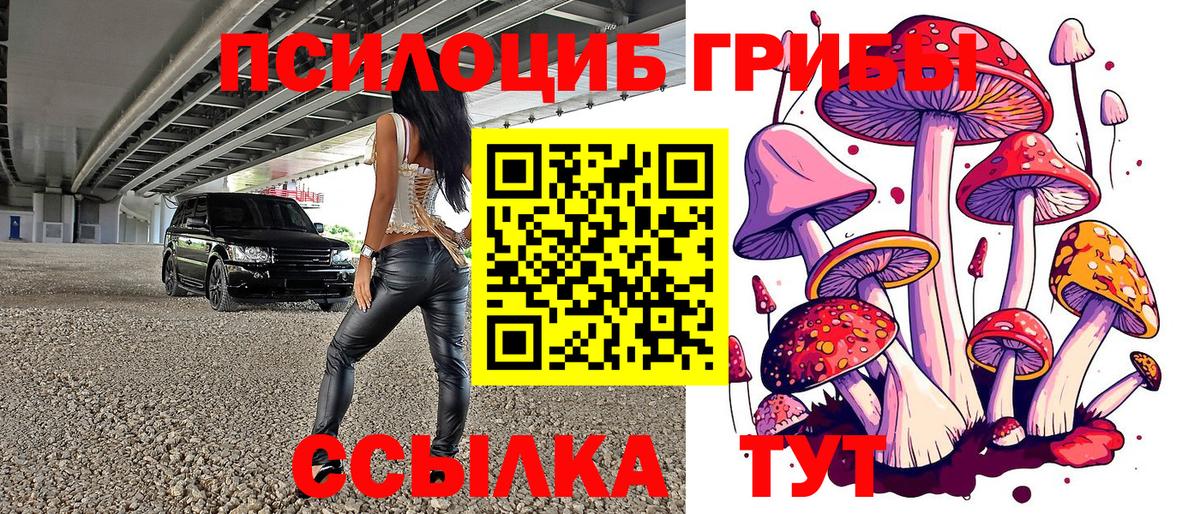 Биробиджан  Псилоцибиновые грибы Psilocybine cubensis  Галлюциногенные грибы GOLDEN TEACHER  Вход с VPN 