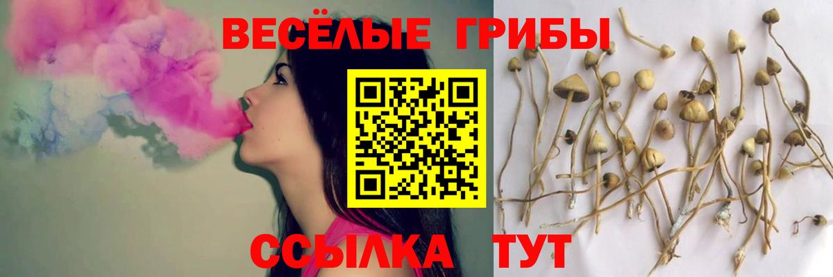 Псилоцибиновые грибы GOLDEN TEACHER Биробиджан